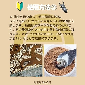 きのこ 様 専用 楽天市場】カネコ種苗 原木しいたけ栽培セット なるきのこDX JAN