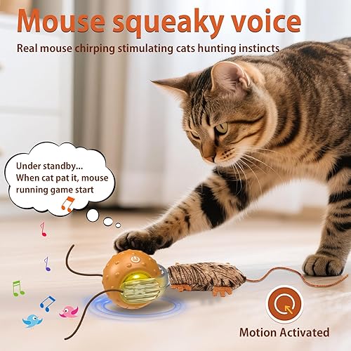 Miniatura 6 de Juguetes interactivos para gatos, pelota y ratón, juego de canto activado por movimiento, pelota de gato rodando rápido en alfombra, para gatitos de