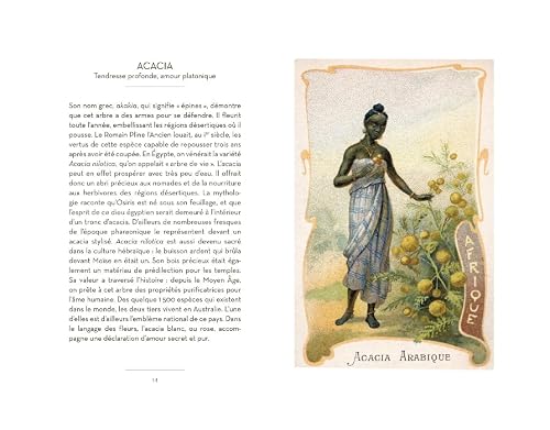 Le Petit livre du langage des Fleurs: Nouvelle édition – vue 6