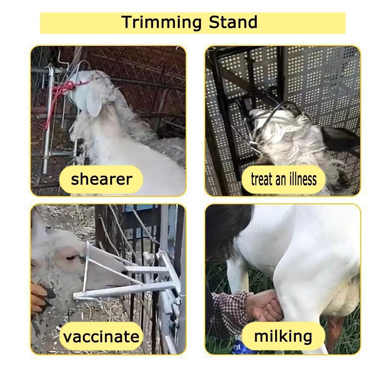 Supporto regolabile per testa di pecora, supporto per testa di pecora sollevabile, staffa di cattura per tosatura, accessori per allevamento di bestiame con altezza regolabile