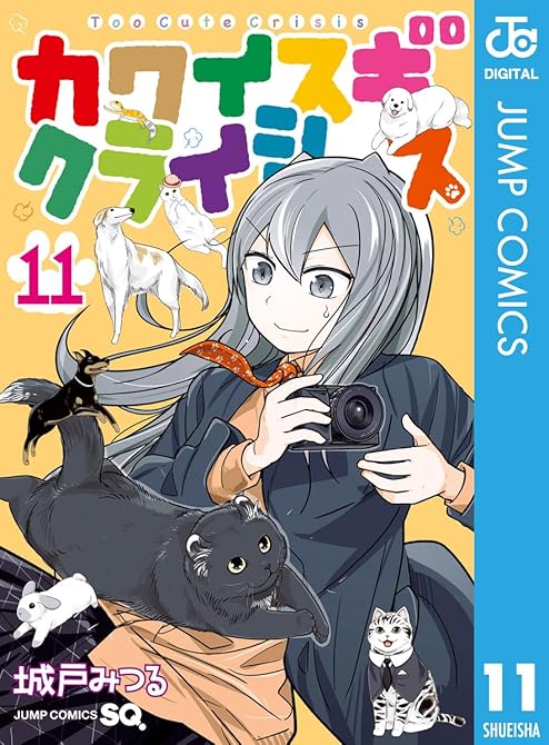 カワイスギクライシス 11の表紙イラスト