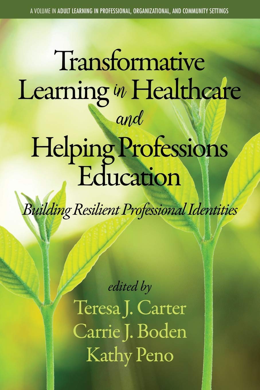 Transformative Learning in Healthcare and Helping Professions Education: Building Resilient Professional Identities (Adult Learning in Professional, Organizational, and Community Settings)