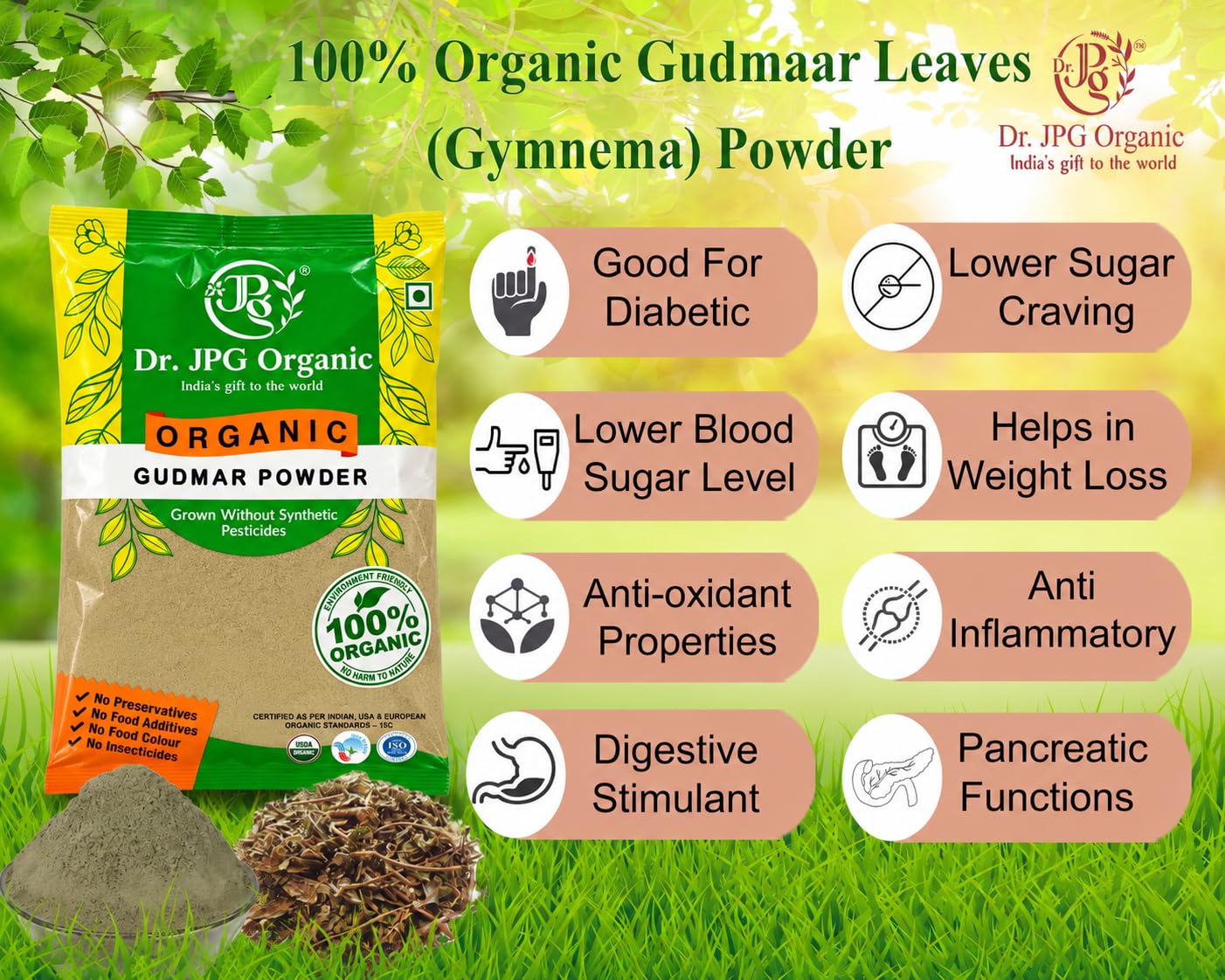 Dr. JPG Organic Gymnema Powder | India Organic Certified | 114g Pack of 2 | Herbal Supplement