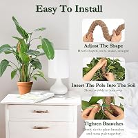 Ryhx Monstera Növénytámasz Szett - 120 cm Hajlítható Kókuszrost Karó Kúszónövényekhez, 2 db Természetes Mohaoszlop Szobanövényekhez 4