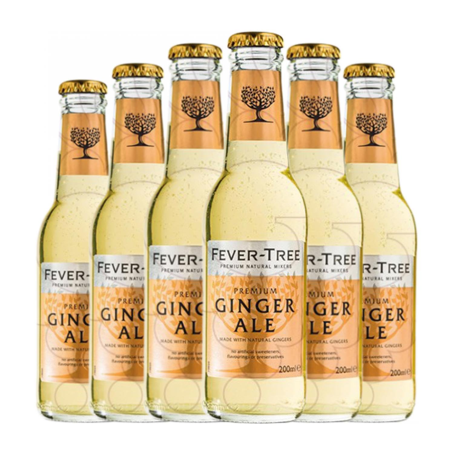 Fever-Tree Ginger Ale Botellín 20 cl Caja de 6