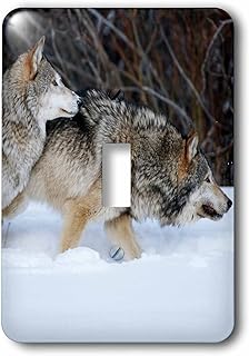 3dRose lsp_251184_1 Captive Gray Wolves Running in Snow in Winter, Montana Toggle Switch, Multicolor