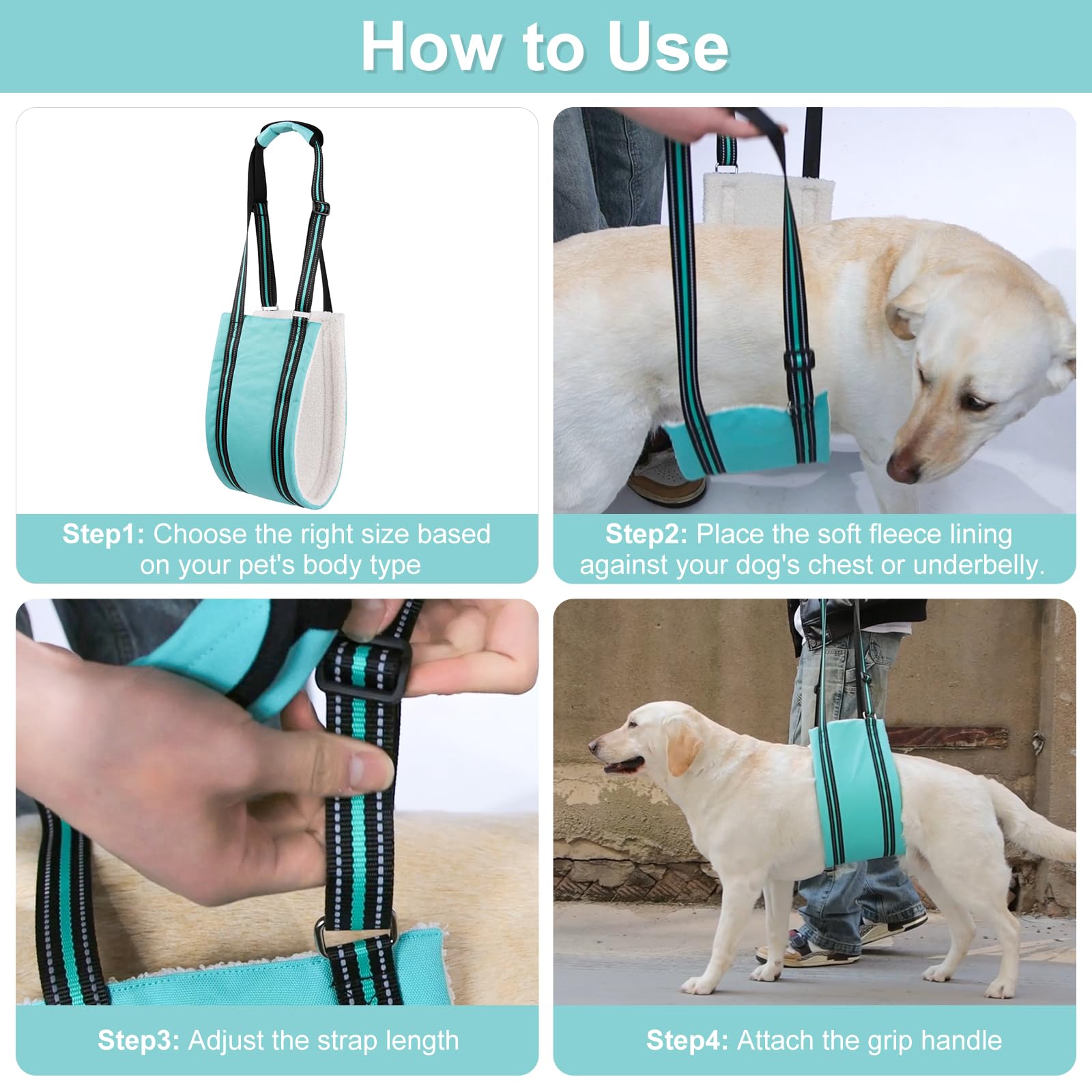 Dog Lifting Harness,Mobility Aids for Medium and Large Dogs,Adjustable Assistance Support Strap for Injured,Disabled,Elderly Dogs (Green - Image 4