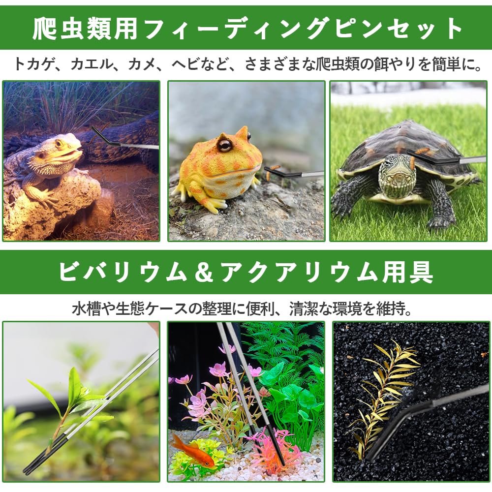 爬虫類・両生類のエサ 6 L20 3L10 L10 爬虫類・両生類のエサ 6 L20 3L10 L10 爬虫類・両生類フード