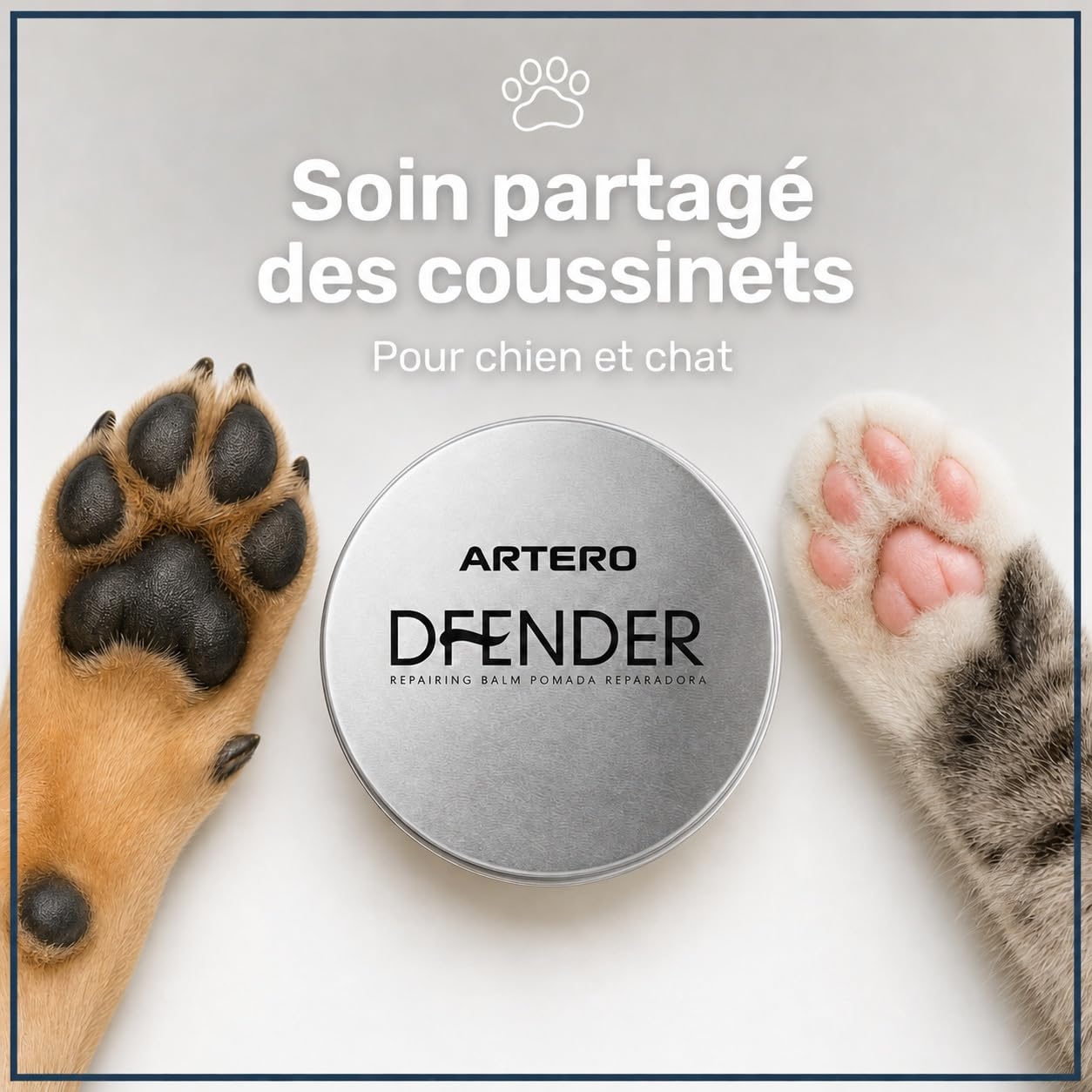 Artero Défendre la solution aux plantaires endommagés et aux nez fissurés chez les chiens