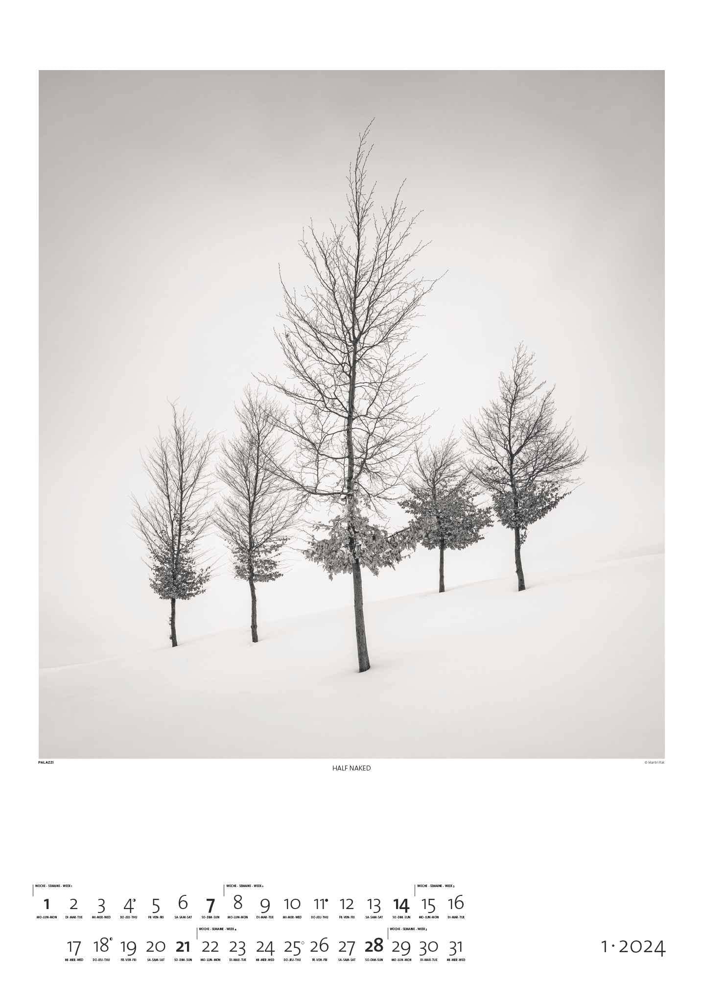 Black & White 2024 - Bildkalender 50x70 cm - Wandkalender XL - schwarz-weiß - Kunst - Hochformat - Palazzi: Fine Art Photography