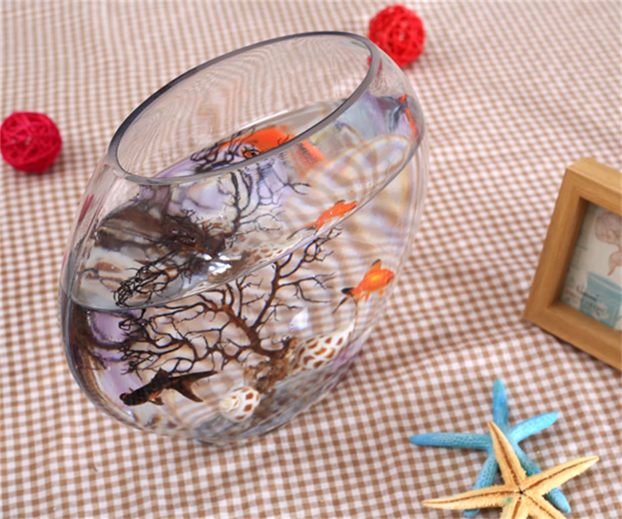 Amazon | 金魚鉢 水槽 アクアリウム 金魚 ガラス 容器 ミニ オブレート