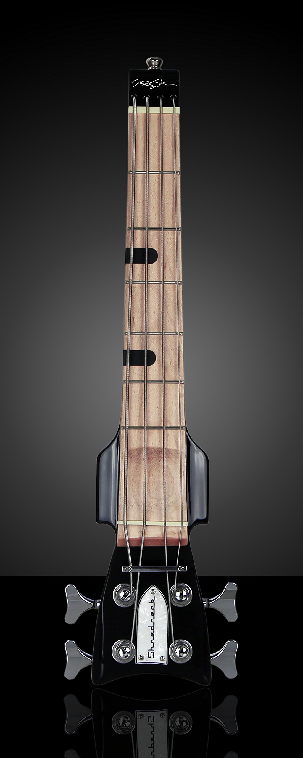 Amazon.com: Shredneck Bassneck Billy Sheehan Signature Model