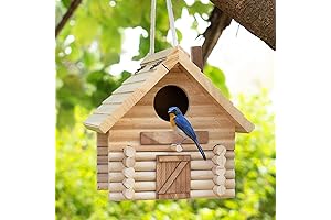Martin Bird Houses - An Ideal Haven for Cheerful Avian Friends