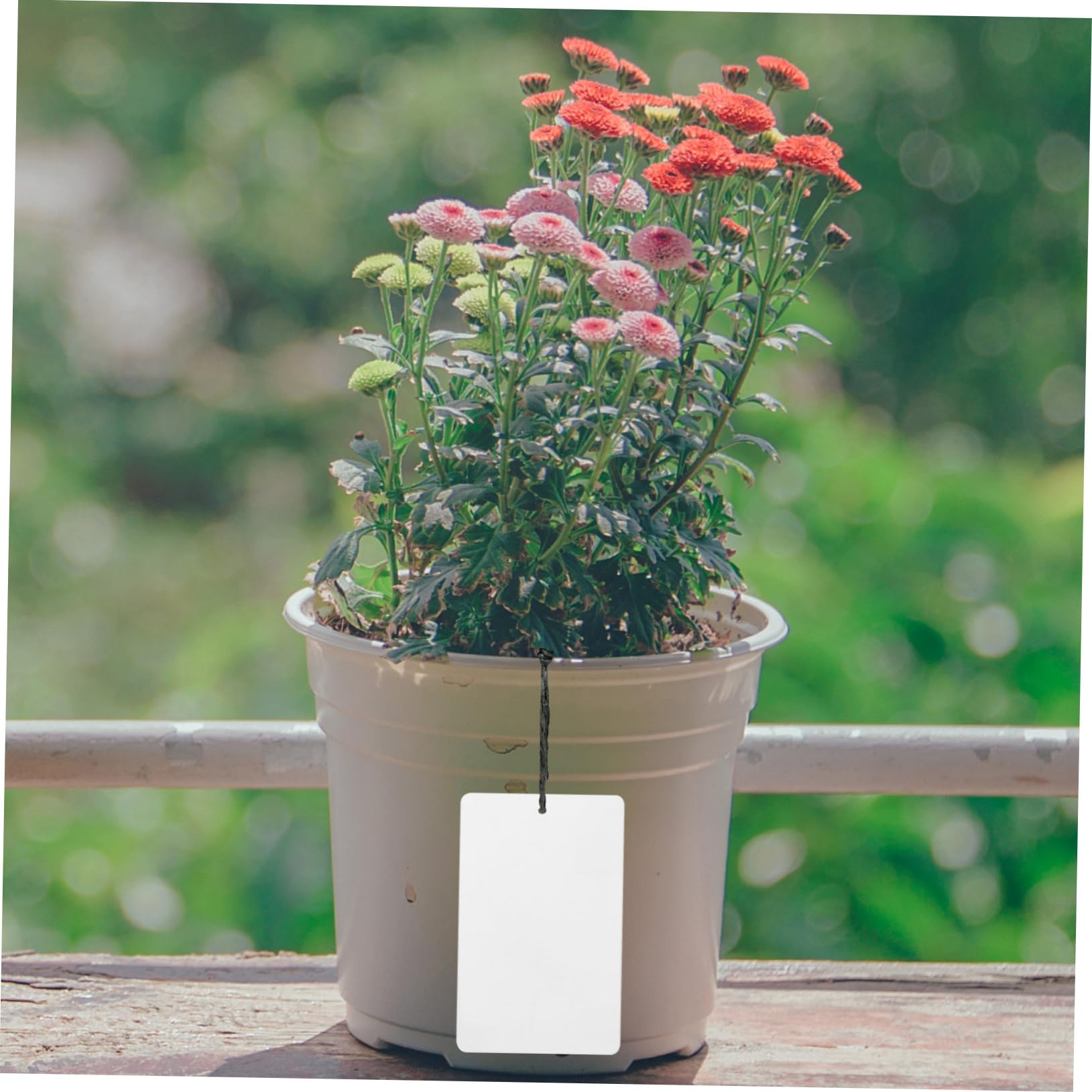 BESPORTBLE 4er-set Pflanzenzubehör: Aluminium-pflanzenetiketten Pflanzenetiketten Zur Verwendung Im Garten 50 Stück X 4