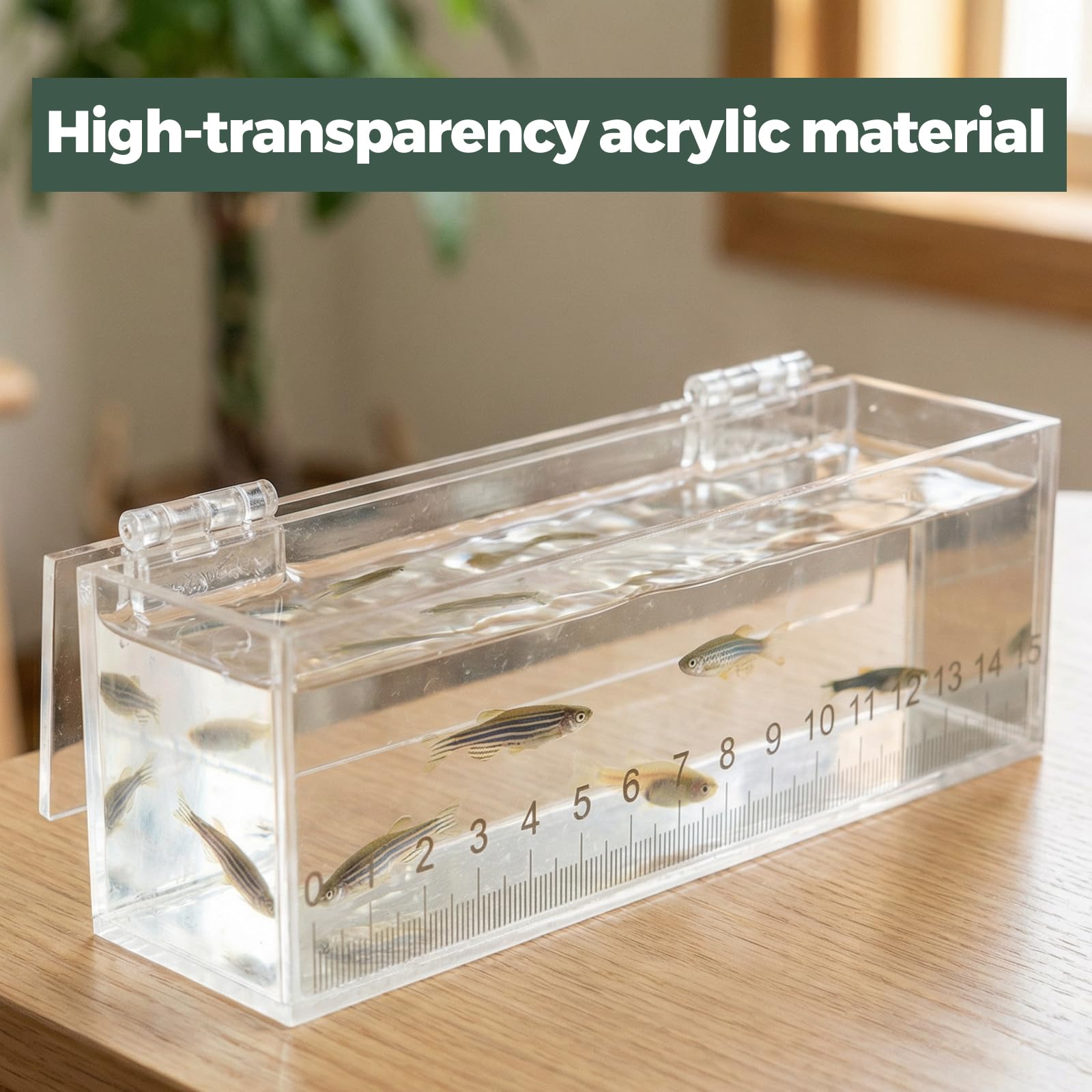 Leefasy Fish Viewing Box,Acrylic Fish Breeding Box,Fishing Photo Tank,Hatching Boxes, Clear Micro Landscape Fish Tank with Scale : Pet Supplies