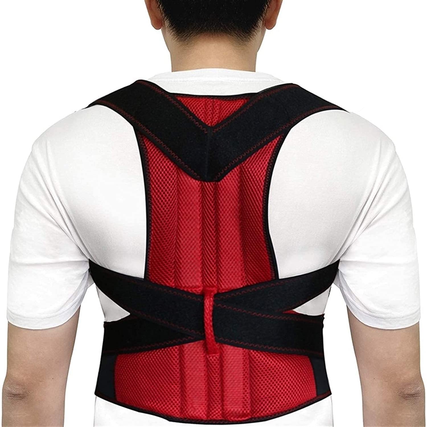 Correo Lumbar Ajustable de atención de Cuidado de la de de Columna ES (Gris M) para Adultos (Gris M)