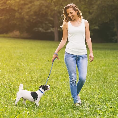 Miniatura 6 de Molain Juego de collar y correa para perro, cachorro, gato, gato, collar ajustable para coche, con correa, cuerda de entrenamiento duradera, clip de