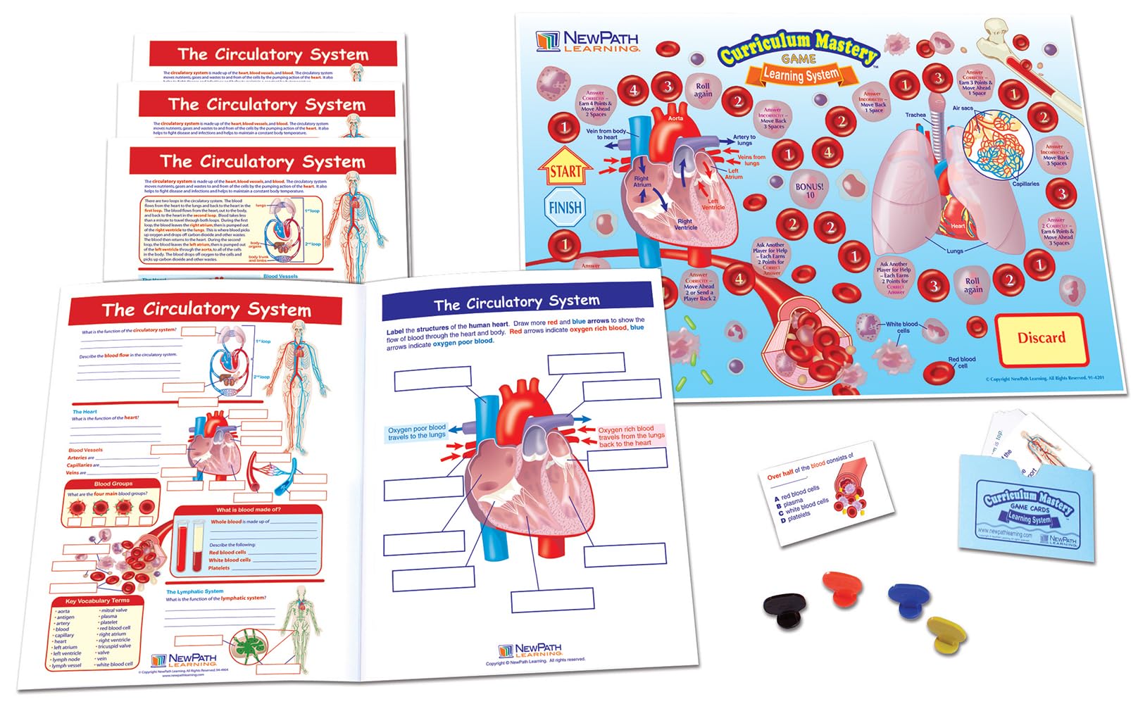 Jeu Circulatory System NewPath Learning pour classes de collège de la 6e à la 3e - 8