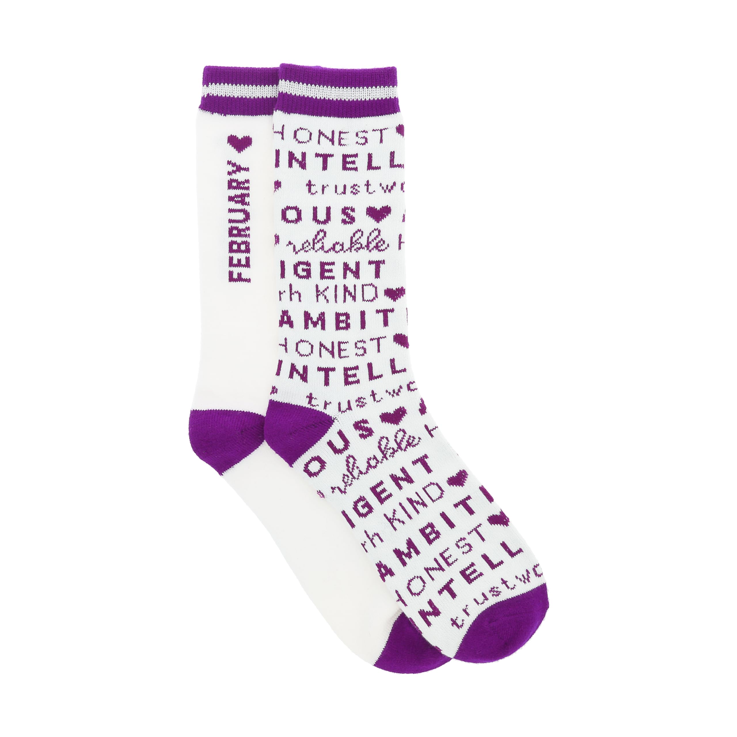 Pavilion Gift Company - February - Unisex M/L Women's Size 9-13 Men's Size 8-12 February Aquarius Pisces Winter-Themed Friend Sibling Parent Birthday Novelty Ambitious Honest Reliable Kind Crew Sock