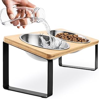 Raised Elevated Cat Bowls (Anti-Vomiting) - 2 Pack