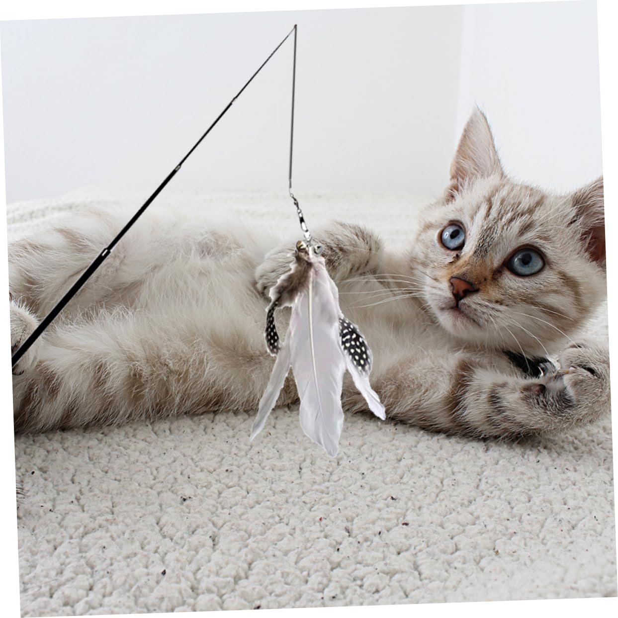 INOOMP 6pièces Téaser pour Chats Canne Interactif Télescopique avec Plumes Jouet Amusant pour Exercice Et des Chats