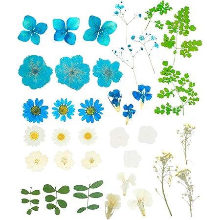 Amazon ノースポール レースフラワー 葉っぱ ピンク 赤 紫色の押し花ドライフラワーセット大小ミックスサイズ9種類入り ドライフラワー オンライン通販