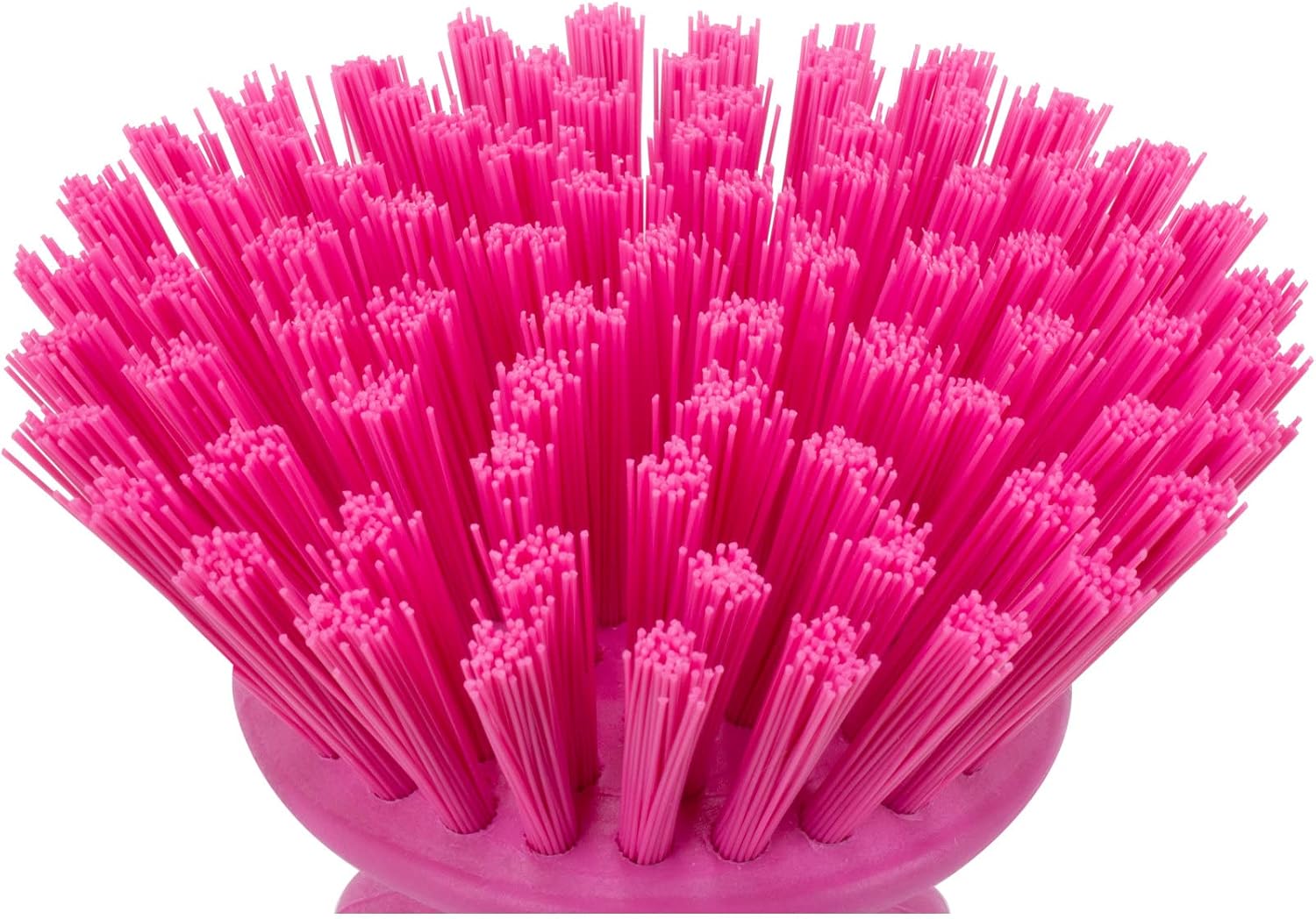 SPARTA 42395EC26 Plastic Scrubber Brush, Round Brush, Dish Scrub Brush With Color Coded For Cleaning, Kitchen, Bathroom, Bathtub, Dishes, Sink, 5 X 5 X 4 Inches, Pink, (Pack of 6)