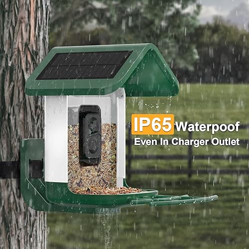 Miniatura 23 de Comedero para pájaros con cámara alimentado por energía solar: alimentador de pájaros con cámara inteligente de vapor en vivo 2K para exteriores