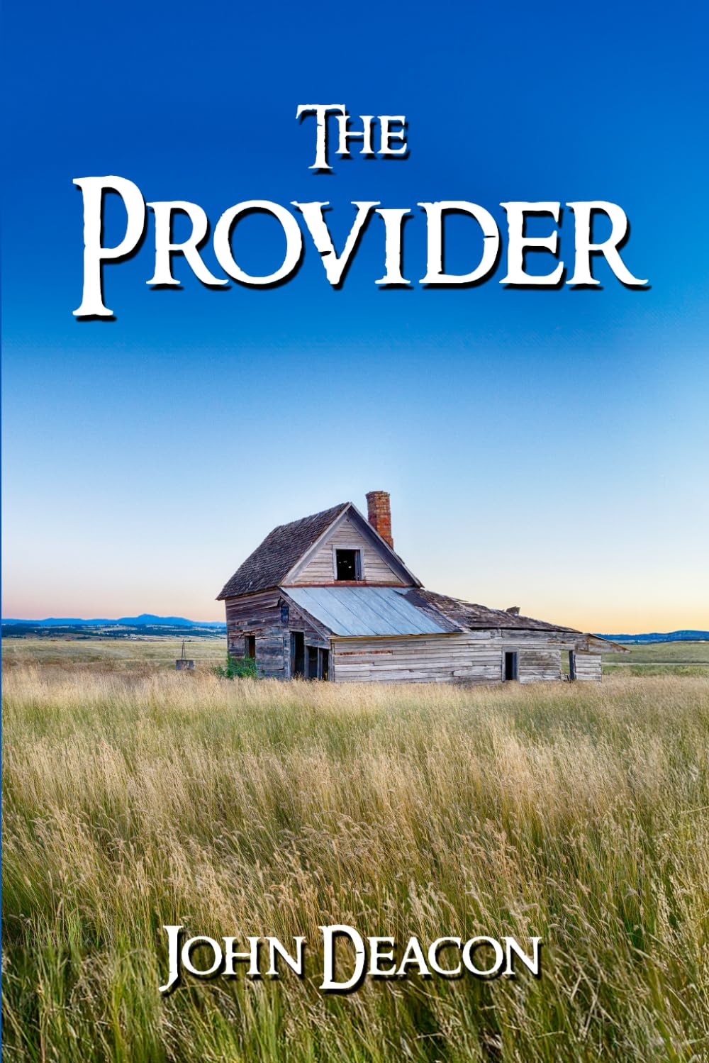 The Provider (The Provider Saga)