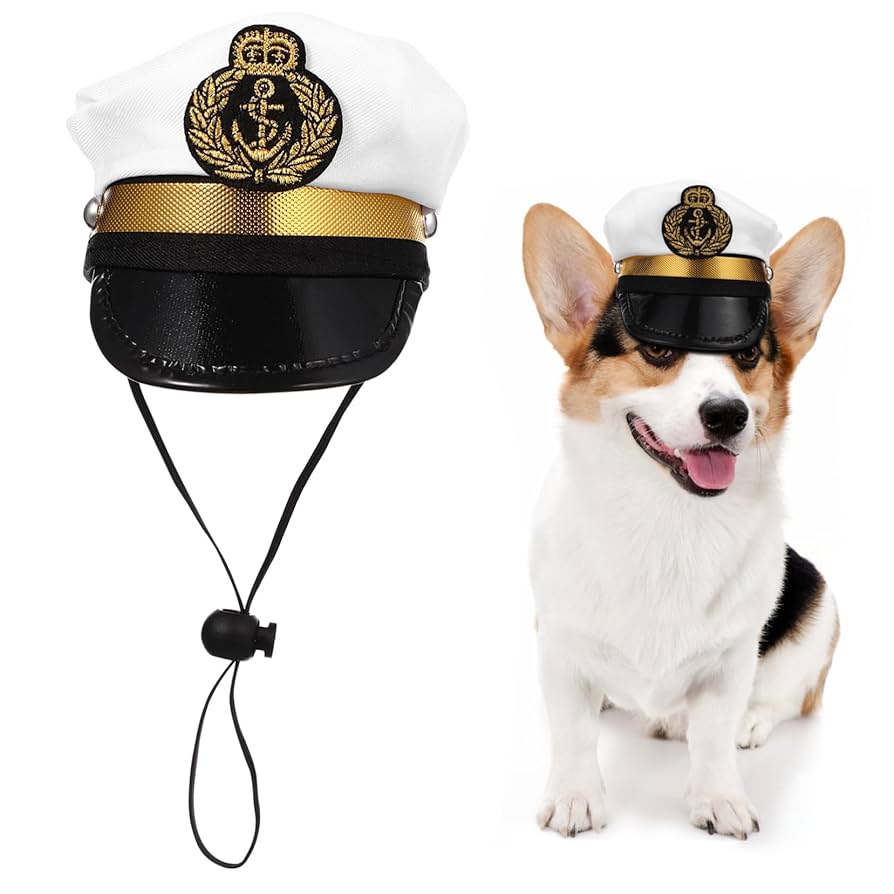 Amazon | PATKAW ヘッドピース ペット 帽子 犬 帽子 大型 犬用