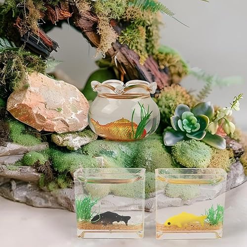 Miniatura 3 de Juego de 4 peceras en miniatura, pecera redonda y cuadrada de cristal, accesorios de casa de muñecas de 112, decoración para jardines de hadas y