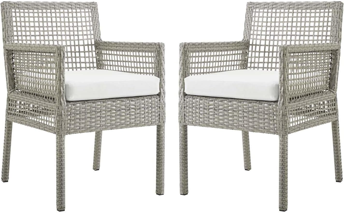 Rattan Outdoor Patio Two Dining Arm Chairs in Gray White