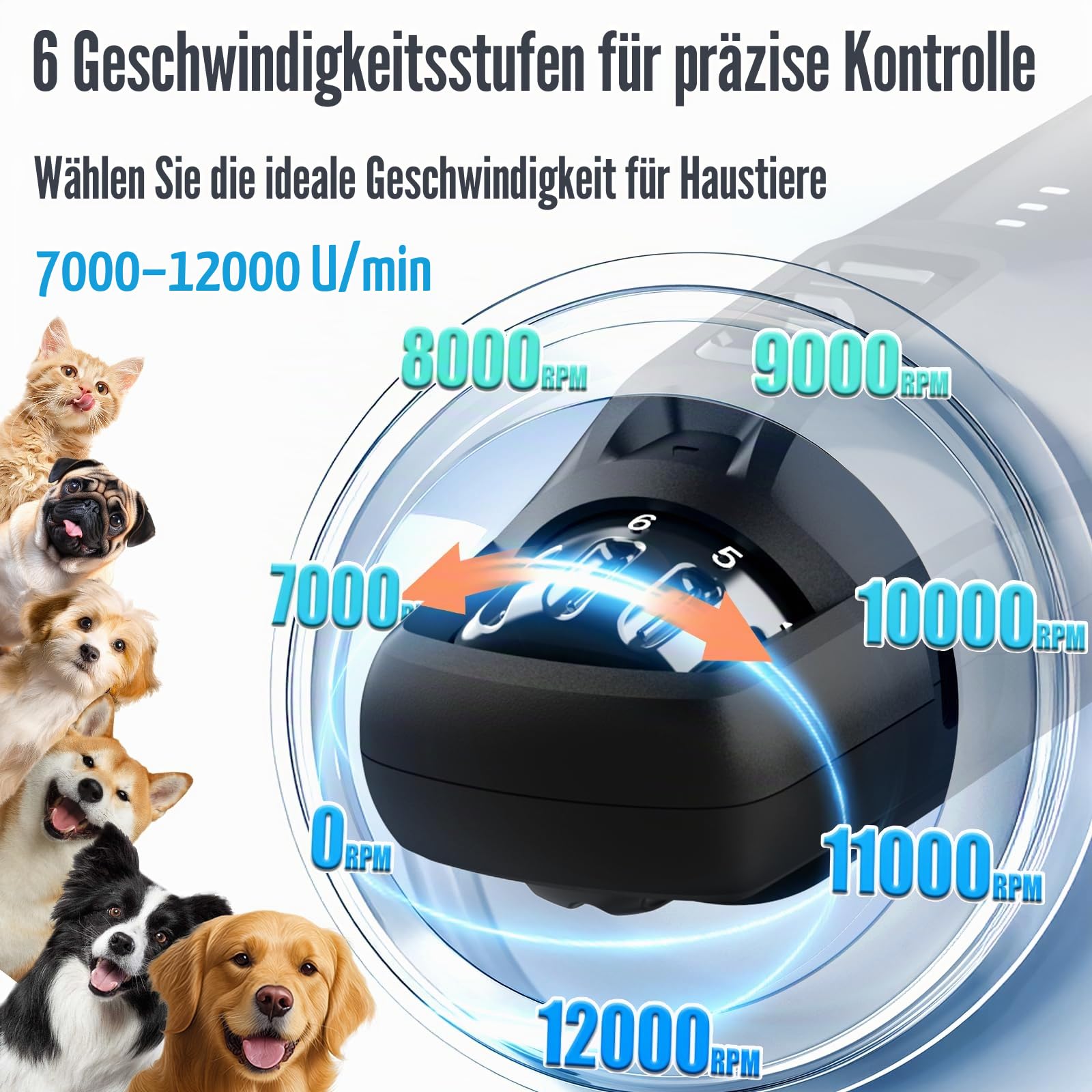 Casfuy Neue 6-Gang Krallenschleifer für Hunde – 50% Mehr Leistung mit 2 LED Lichtern Leise 7 Stunden Laufzeit Elektrischer Hund Nagelschleifer für Große Mittelgroße Kleine Hunde und Katzen