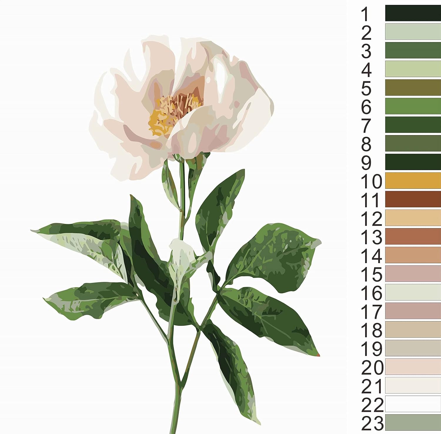 CWEIDP DIY Color Paint By Numbers for Adults Beginner and Kids，Flowers Paint By Number Kits On Canvas Watercolor Painting Kit Acrylic Paint Kits Oil Adult Crafts 16x20 Inchs (40x50cm)