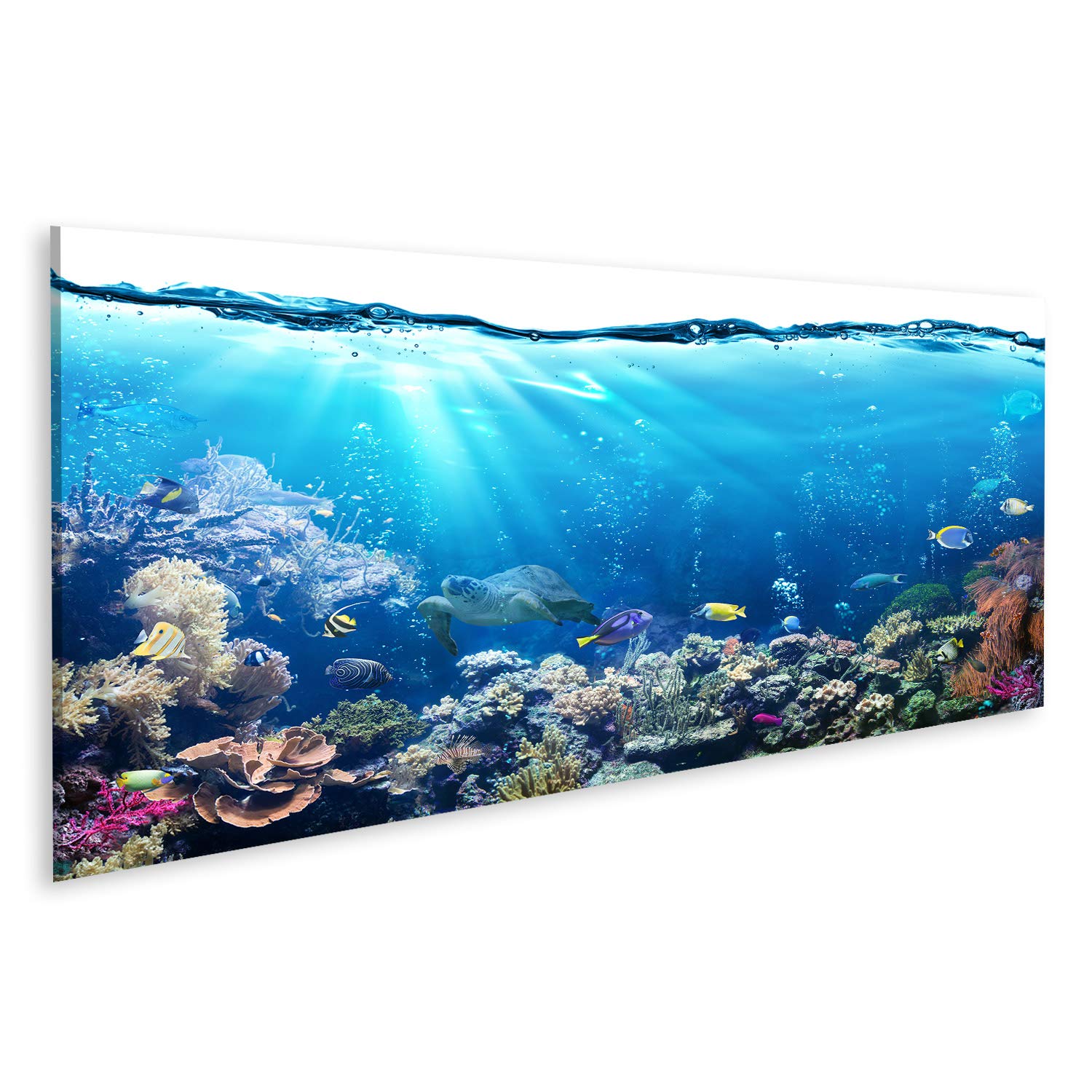 islandburner Quadri Moderni Scena Subacquea con barriera corallina e Pesci Tropicali Stampa su Tela - Quadro x poltrone Salotto Cucina mobili Ufficio casa - Fotografica Formato XXL DYK