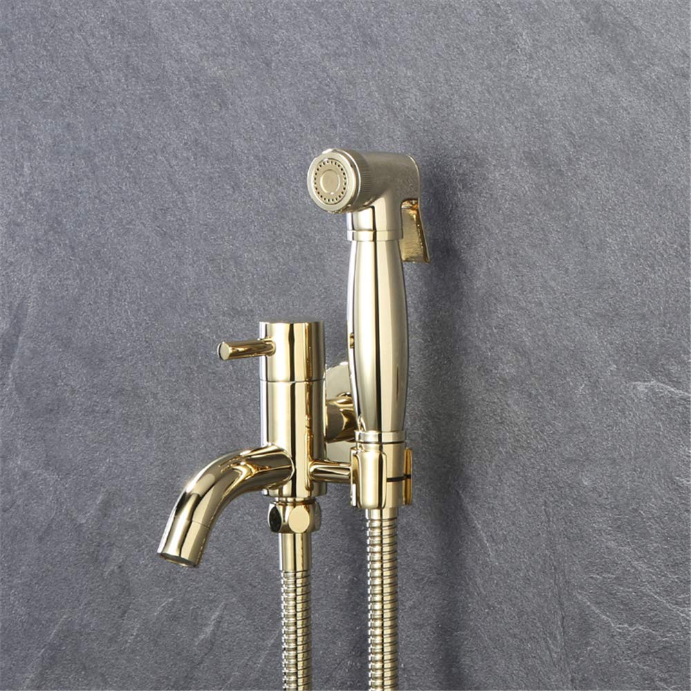Pulvérisateur de bidet à main laiton contre fuites toilettes