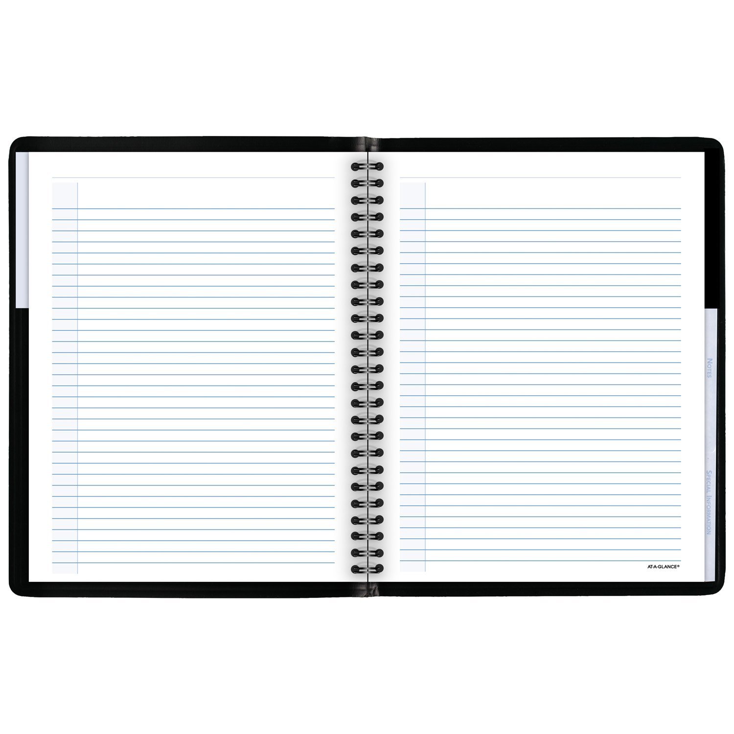 AT-A-GLANCE Agenda giornaliera 2017, The Action Planner, 20,5 x 25,4 cm, nero (70-EP01-05)