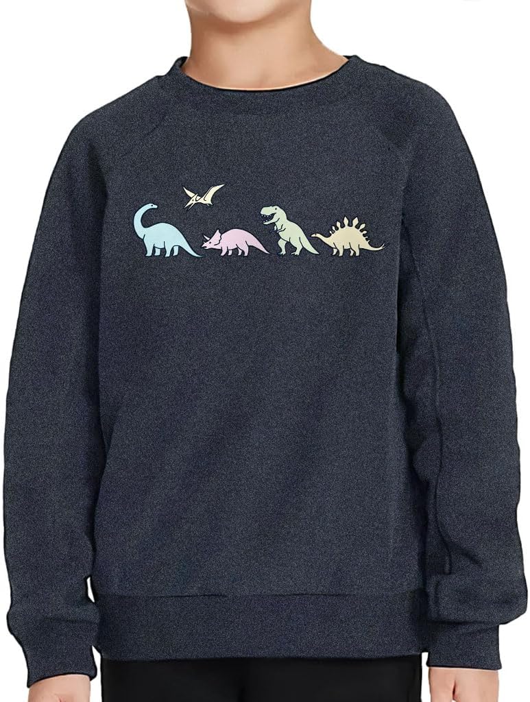 Cute Dinosaurs Toddler Raglan Sweatshirt - Dino Lover Boy Clothing - Boy Clothing