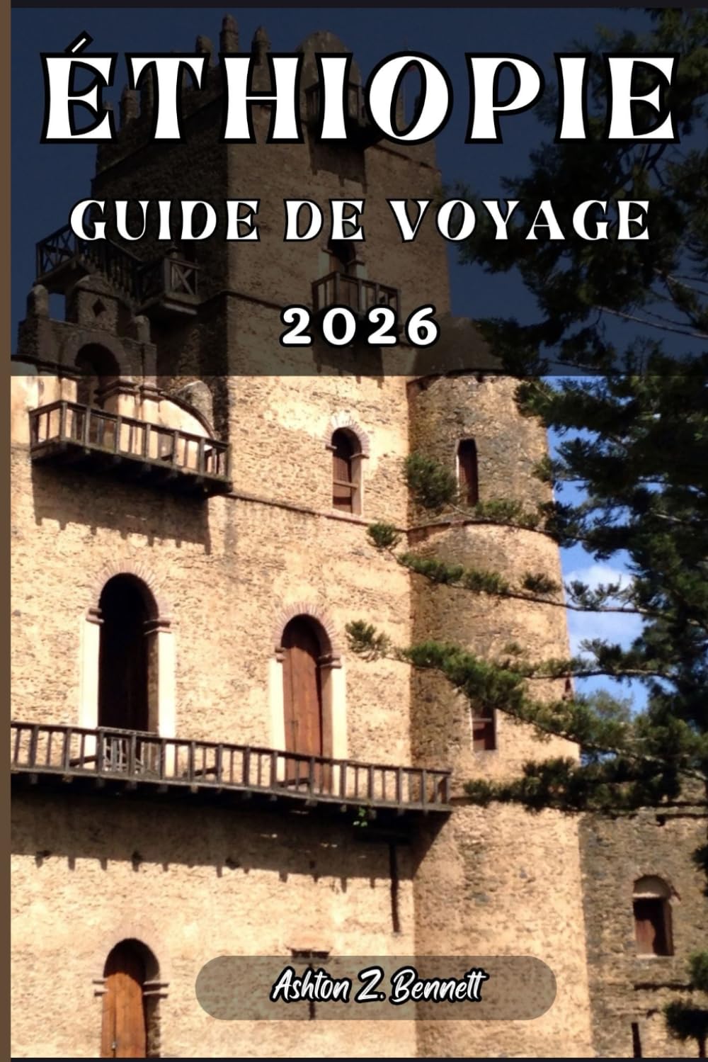 ÉTHIOPIE GUIDE DE VOYAGE: Votre guide touristique pour un séjour mémorable lors de votre visite de cette destination.