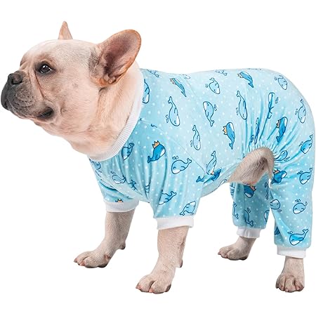 cute bone dog clothes