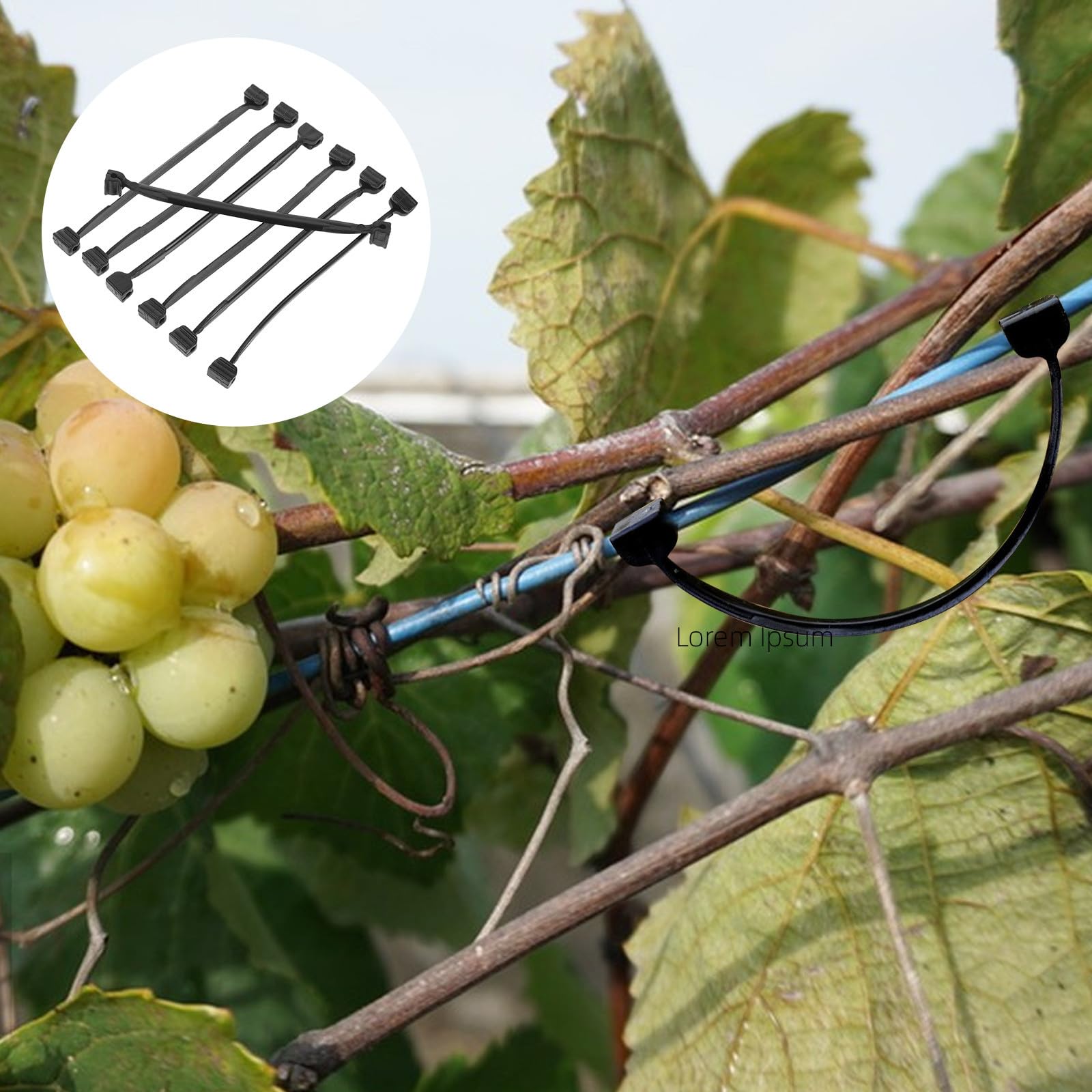 Abrazaderas para Plantas de Vid y Árboles Frutales, Clips Resistentes para Fijar Ramas, Soporte Reutilizable para Jardín y Huertos