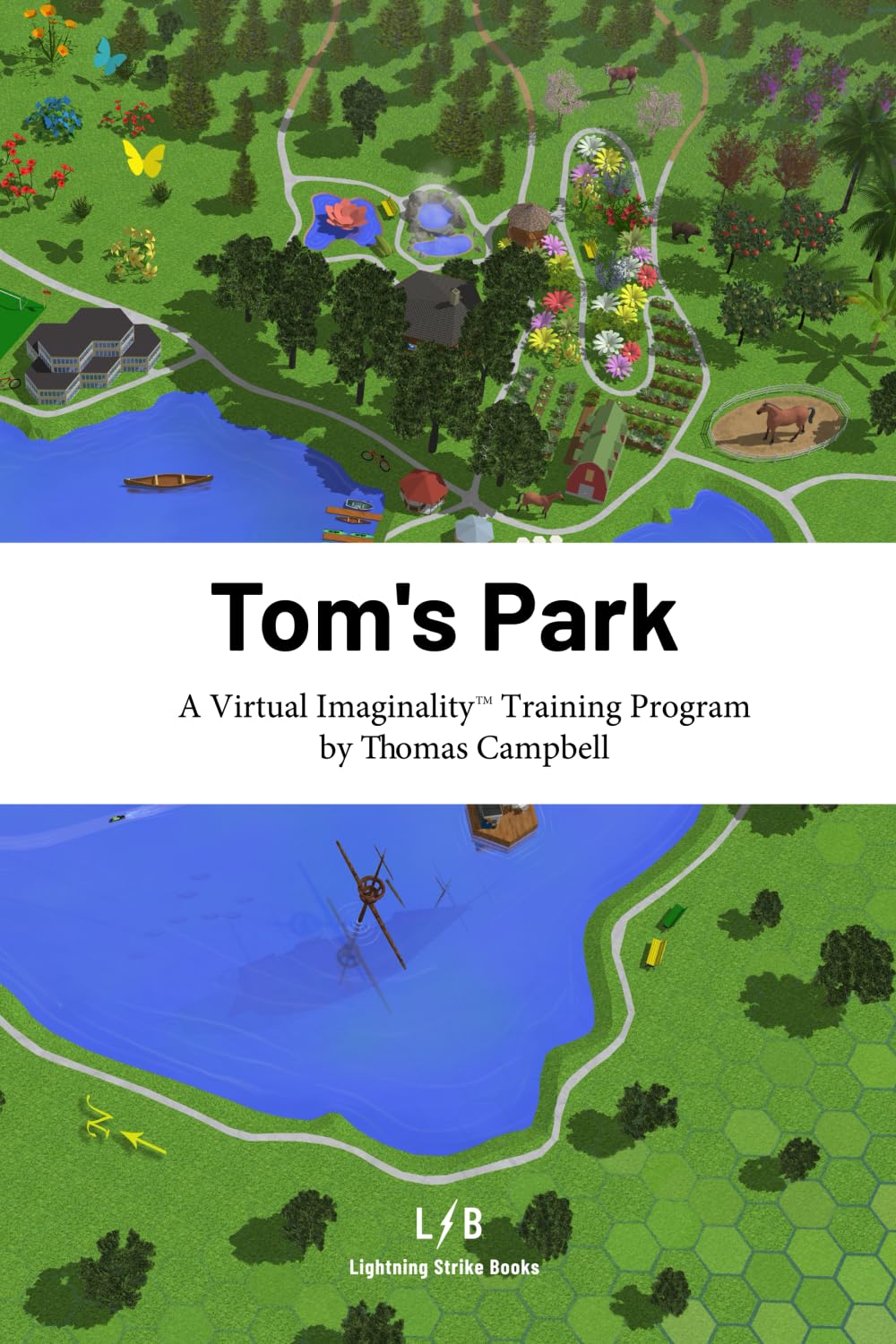 Tom's Park: A Virtual Imaginality™ Training Program      Paperback – December 20, 2021