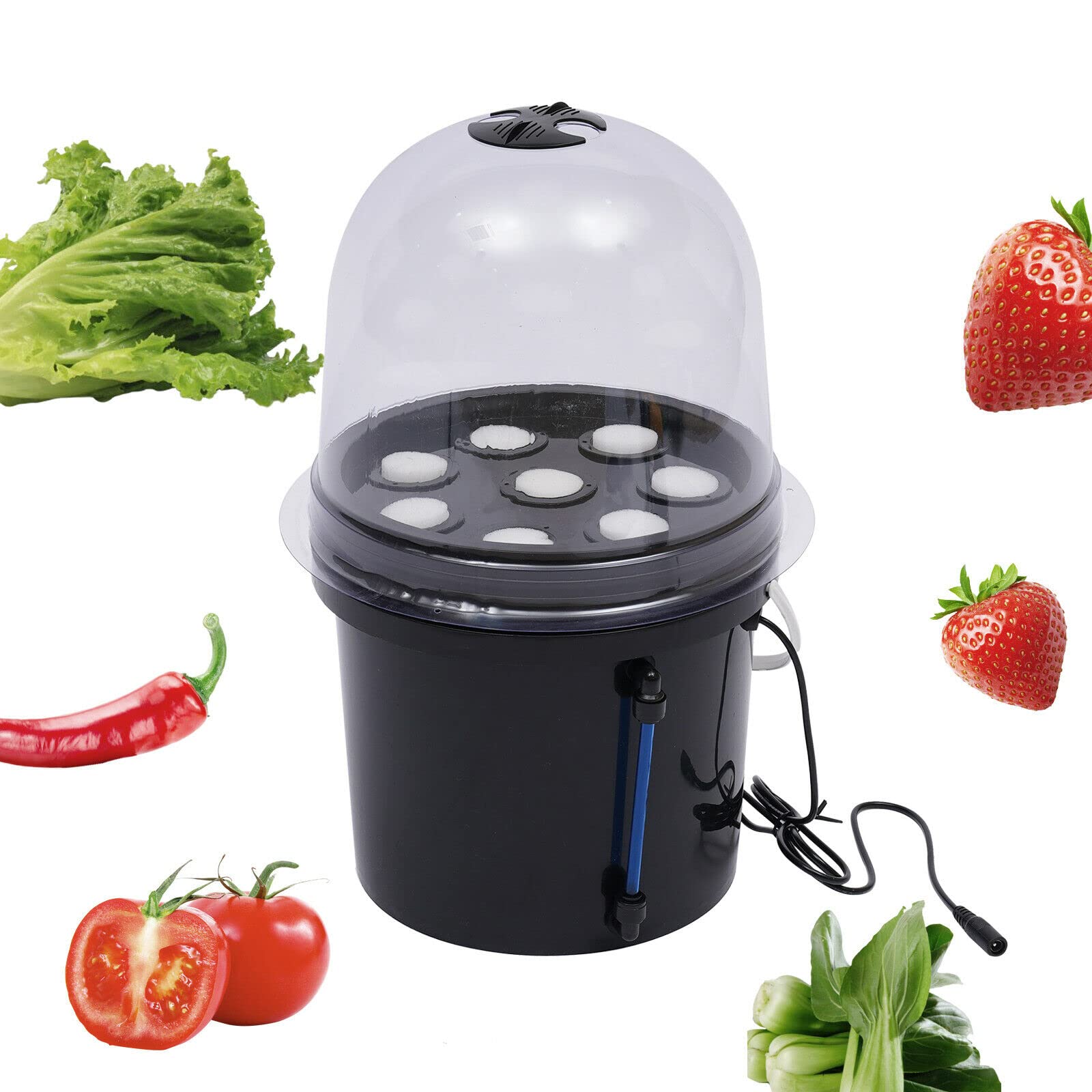 Zimmergewächshaus Anzuchtschale, 5L 8 Löcher Aeroponisches Vermehrungsset Mini Anzuchtkasten Pflanzen Aeroponic Hydroponic Setzling Klonsystem