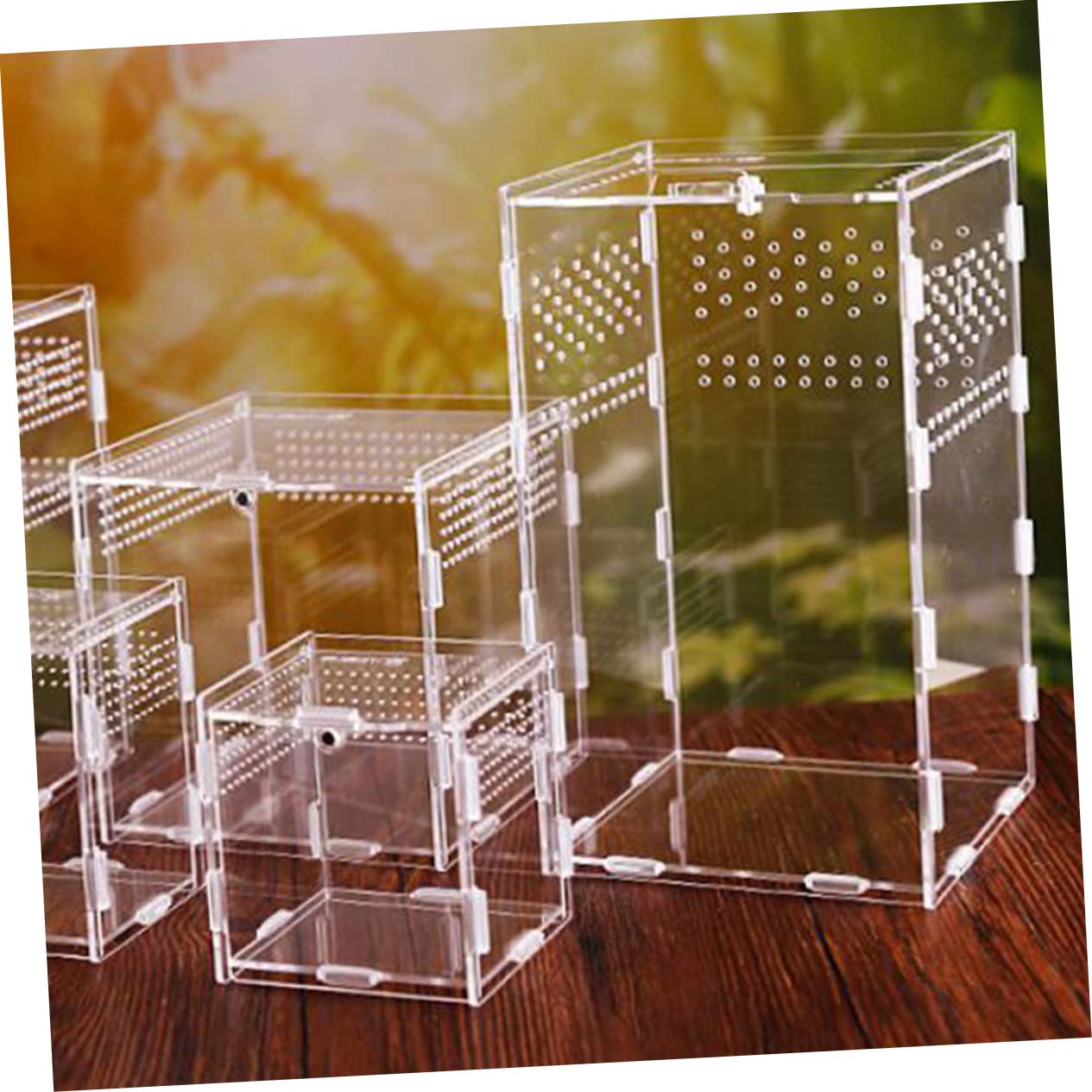 BESPORTBLE Scatole Trasparenti per Rettili in Acrilico Custodie Magnetiche Ventilazione Adatte per Habitat Lucertole Ragni Gechi e Altri Rettili Domestici
