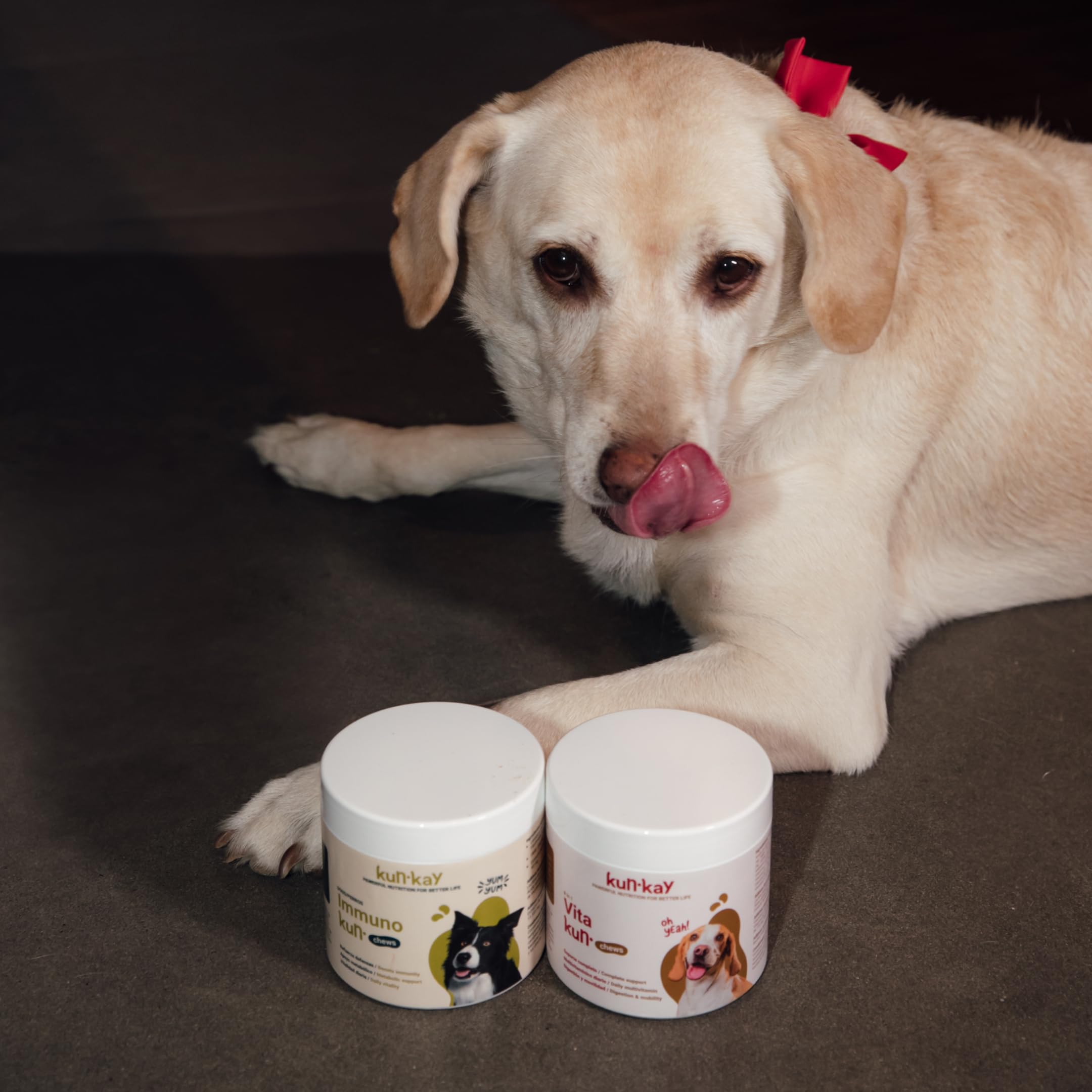 ImmunoKun - Probiotici per supporto digestivo per cani, 60 masticazioni | Premi sani, beta-glucani per rafforzamento immunitario, supporto digestivo e leishmaniasi, senza sostanze chimiche