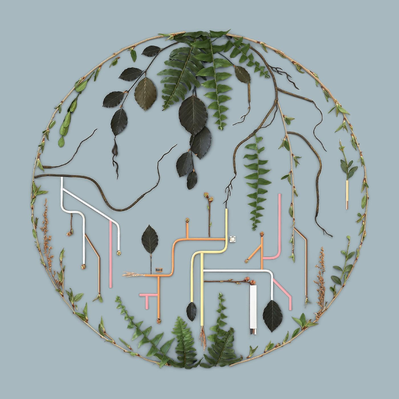TRIBUTARIES: VOL. 2 por Artista não identificado — capa do álbum