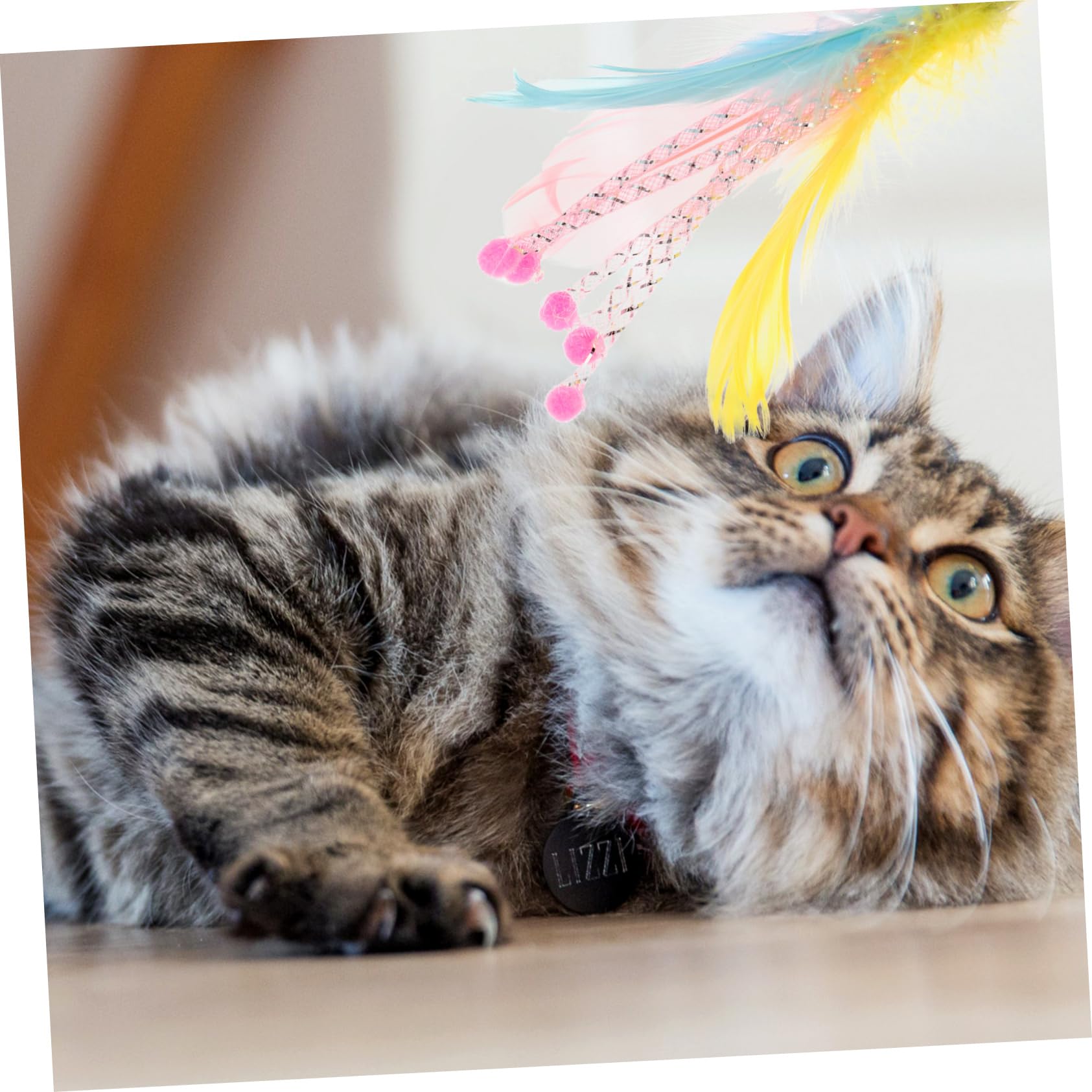 INOOMP 40pièces Jouets à Plume pour Chats Recharges pour Interactions Ludiques Intérieur Et Extérieur Améliorez De Votre Chat avec Sécurité