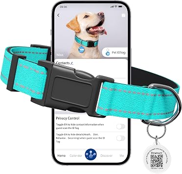 Personalized Dog Collar with QR Code Tag, Large, Mint Green | Reflective Dog Collar with Smart QR ID Tag ,Heavy Duty Custom Dog Collar for Large Breed