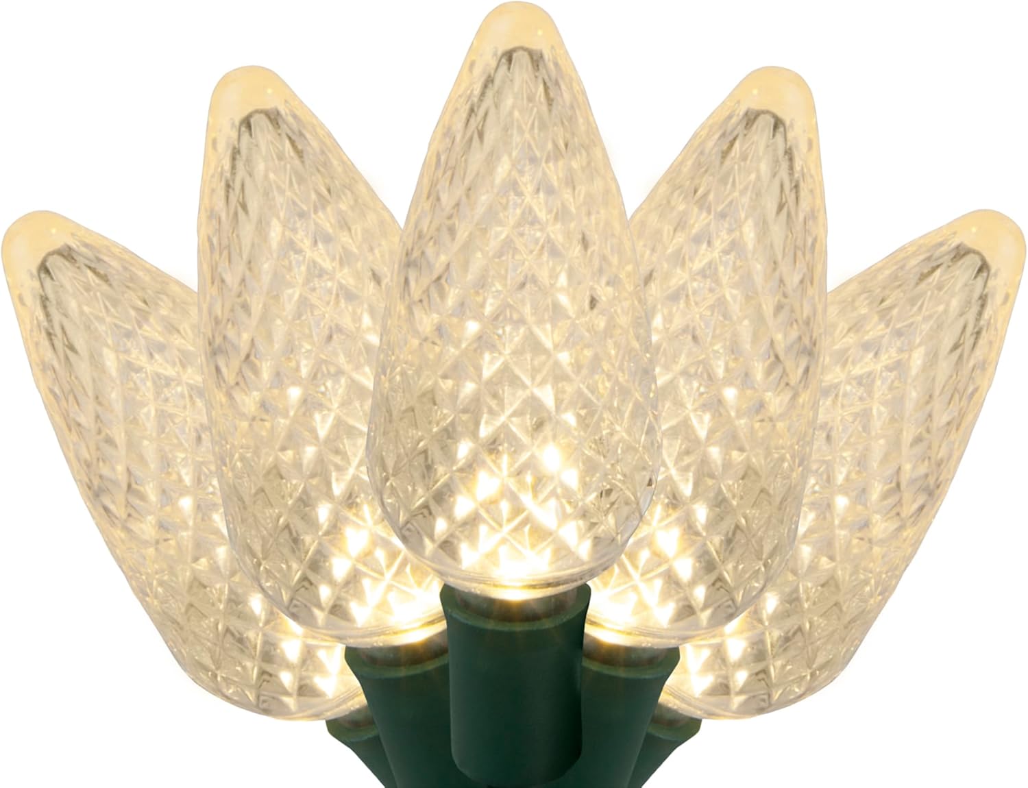 Wintergreen Lighting C9 Warm White Christmas Lights - Image 3