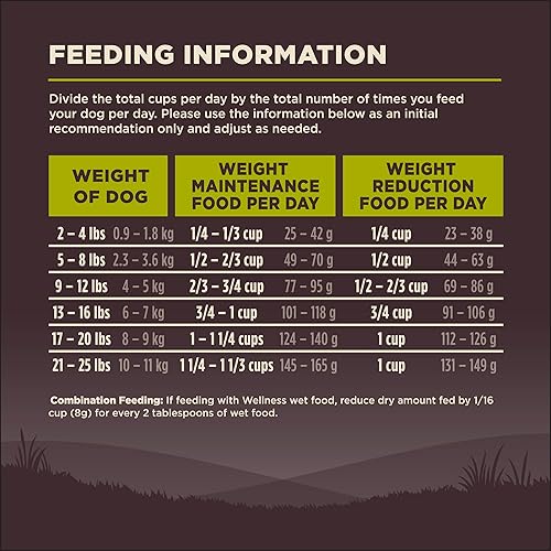 Vista 18 de Comida seca para perro sin granos Wellness Core Natural